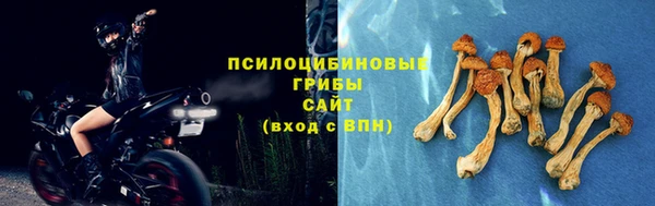винт Алзамай