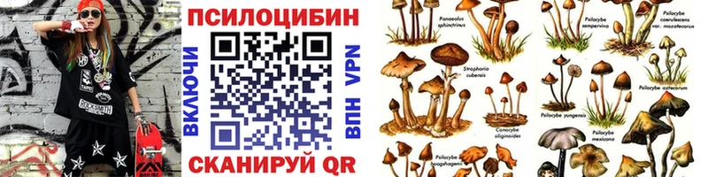 blacksprut маркетплейс  продажа наркотиков  Бобров  Галлюциногенные грибы Psilocybine cubensis 